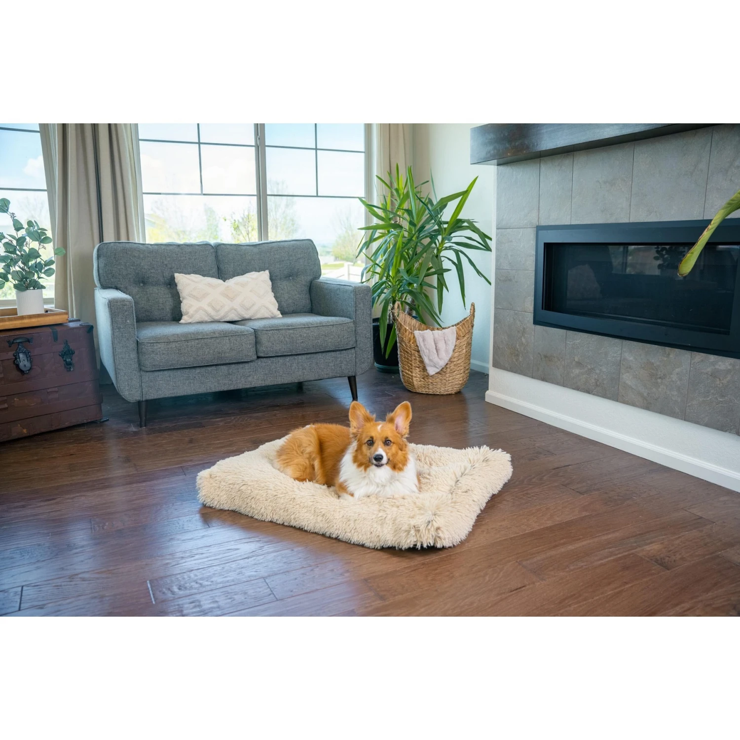 Best Friends By Sheri 4-in-1 Orthopedic Nap Mat Shag Dog Mat With Removable Cover