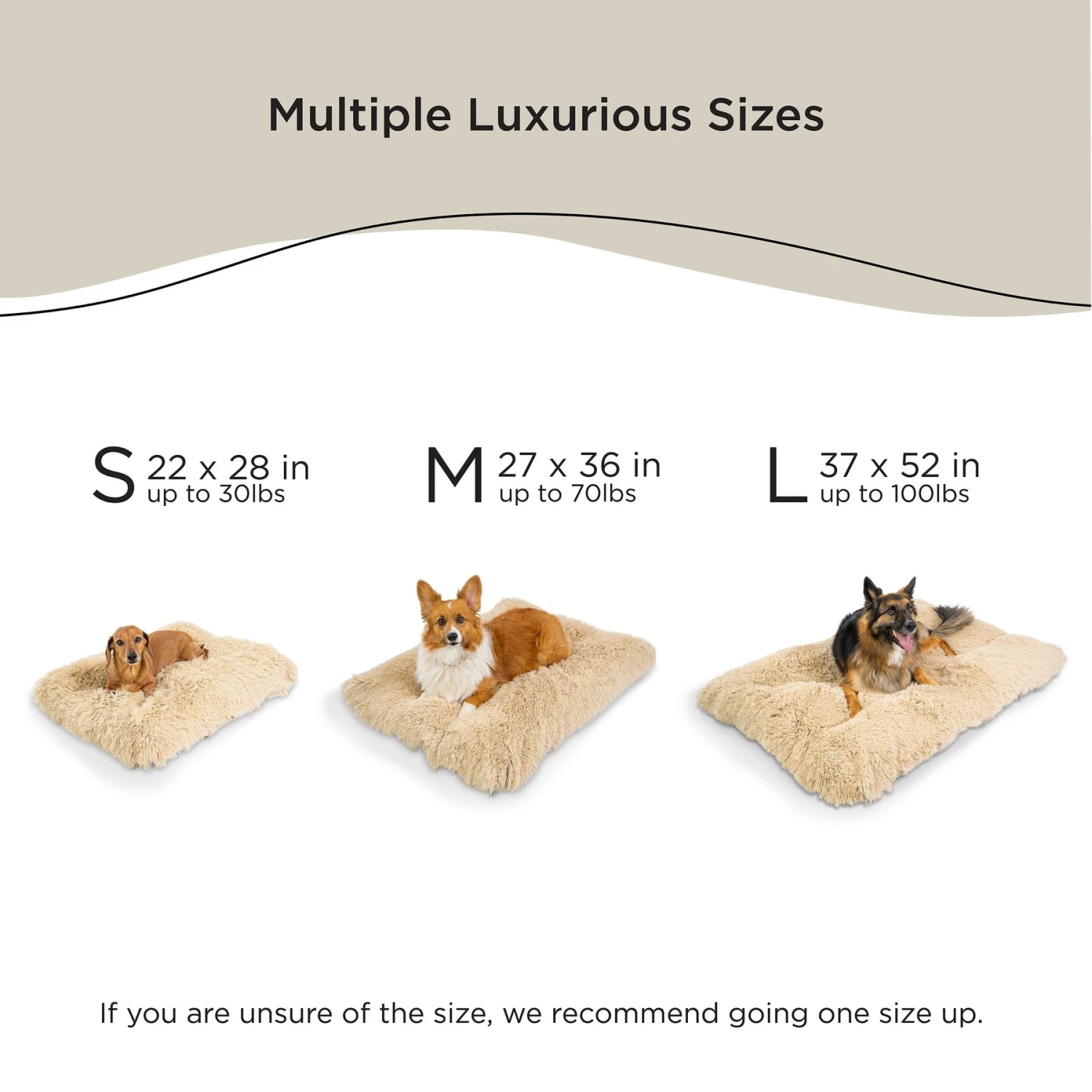 Best Friends By Sheri 4-in-1 Orthopedic Nap Mat Shag Dog Mat With Removable Cover - Image 5