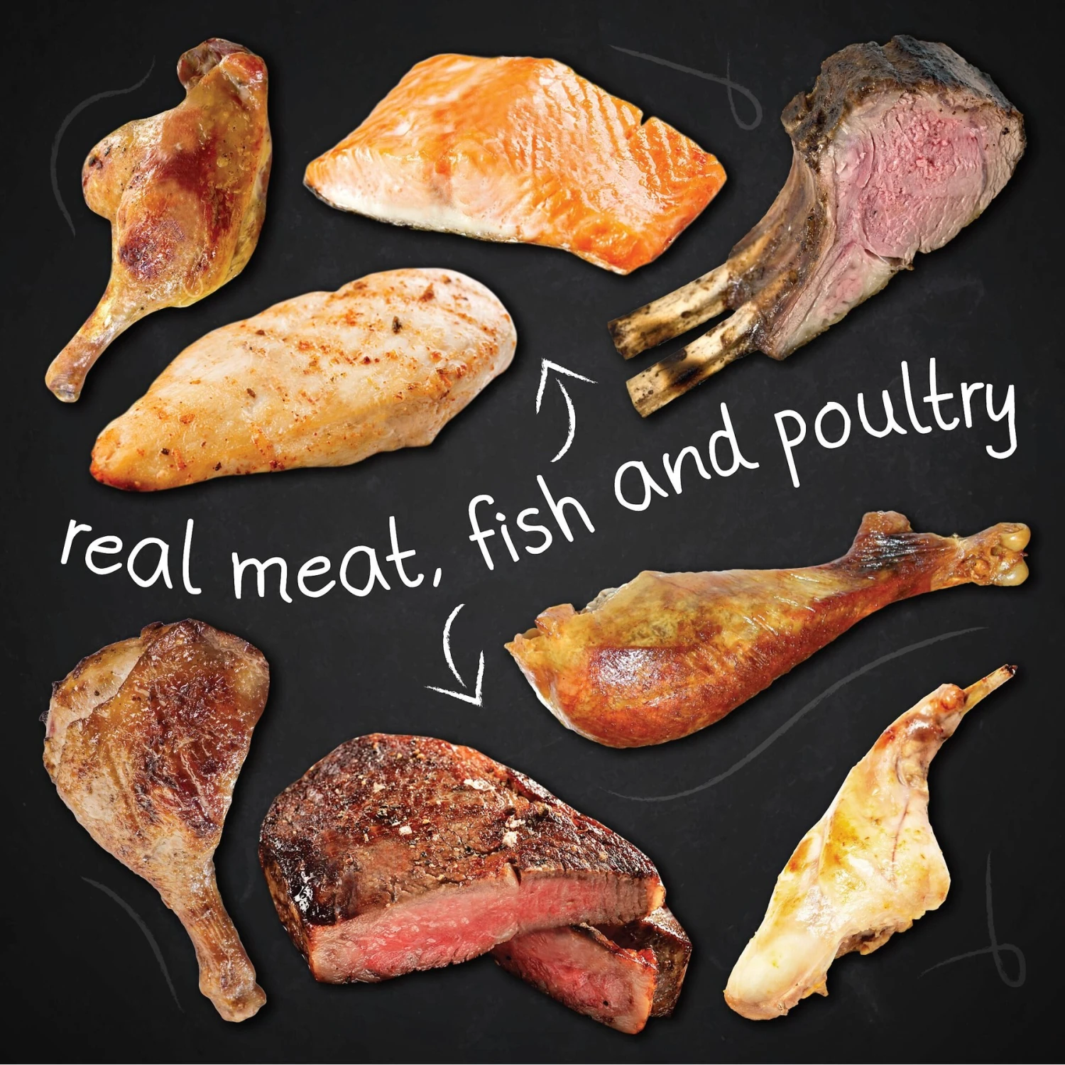 Hound & Gatos 98% Lamb, Chicken & Salmon Grain-Free Canned Dog Food - Image 6