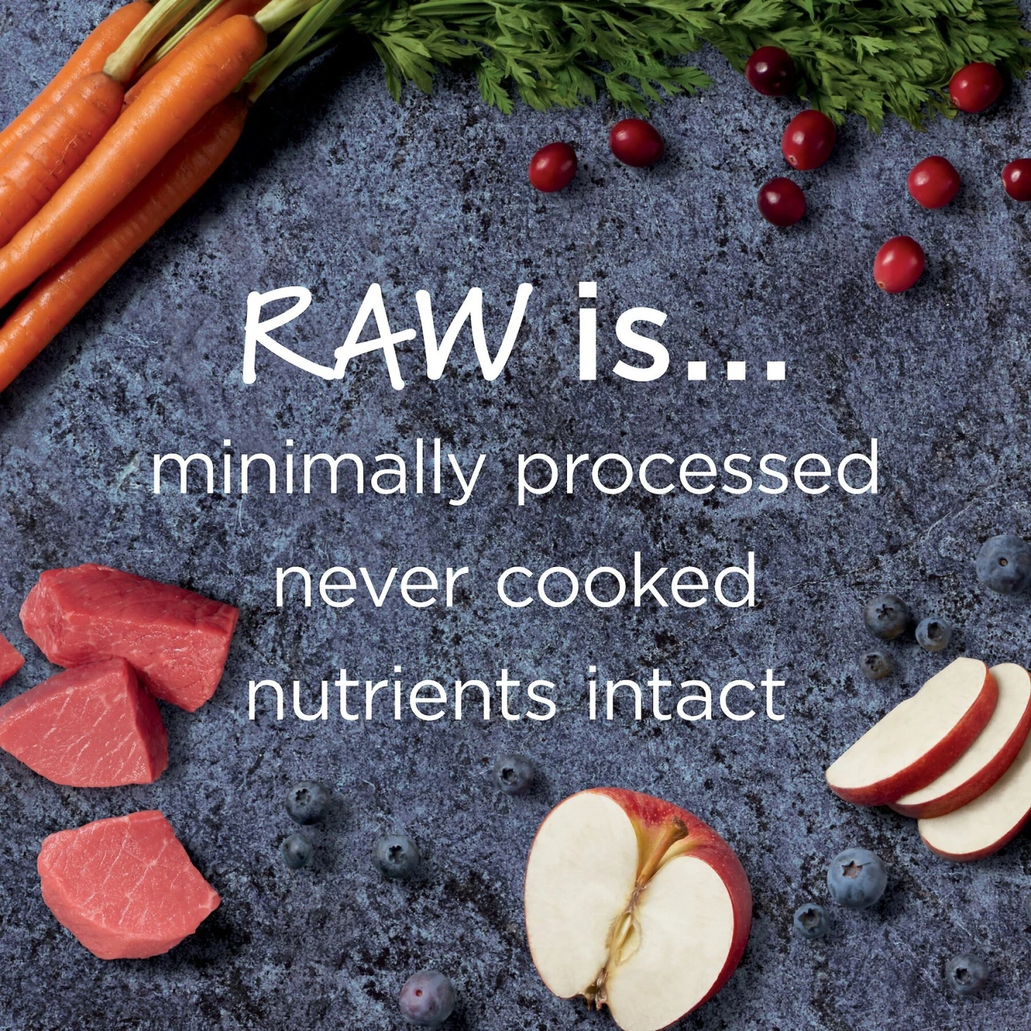 Instinct Raw Boost Grain-Free Recipe With Real Beef & Freeze-Dried Raw Pieces Dry Dog Food - Image 4