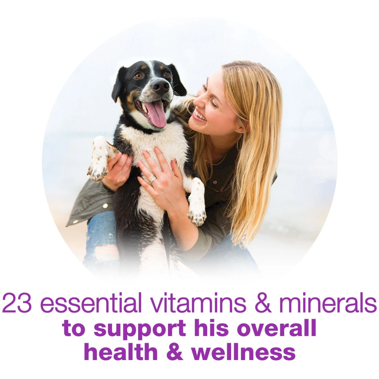 Purina Beneful Chopped Blends With Lamb, Brown Rice, Carrots &Tomatoes Wet Dog Food, 10-oz Container, Case Of 8 - Image 7