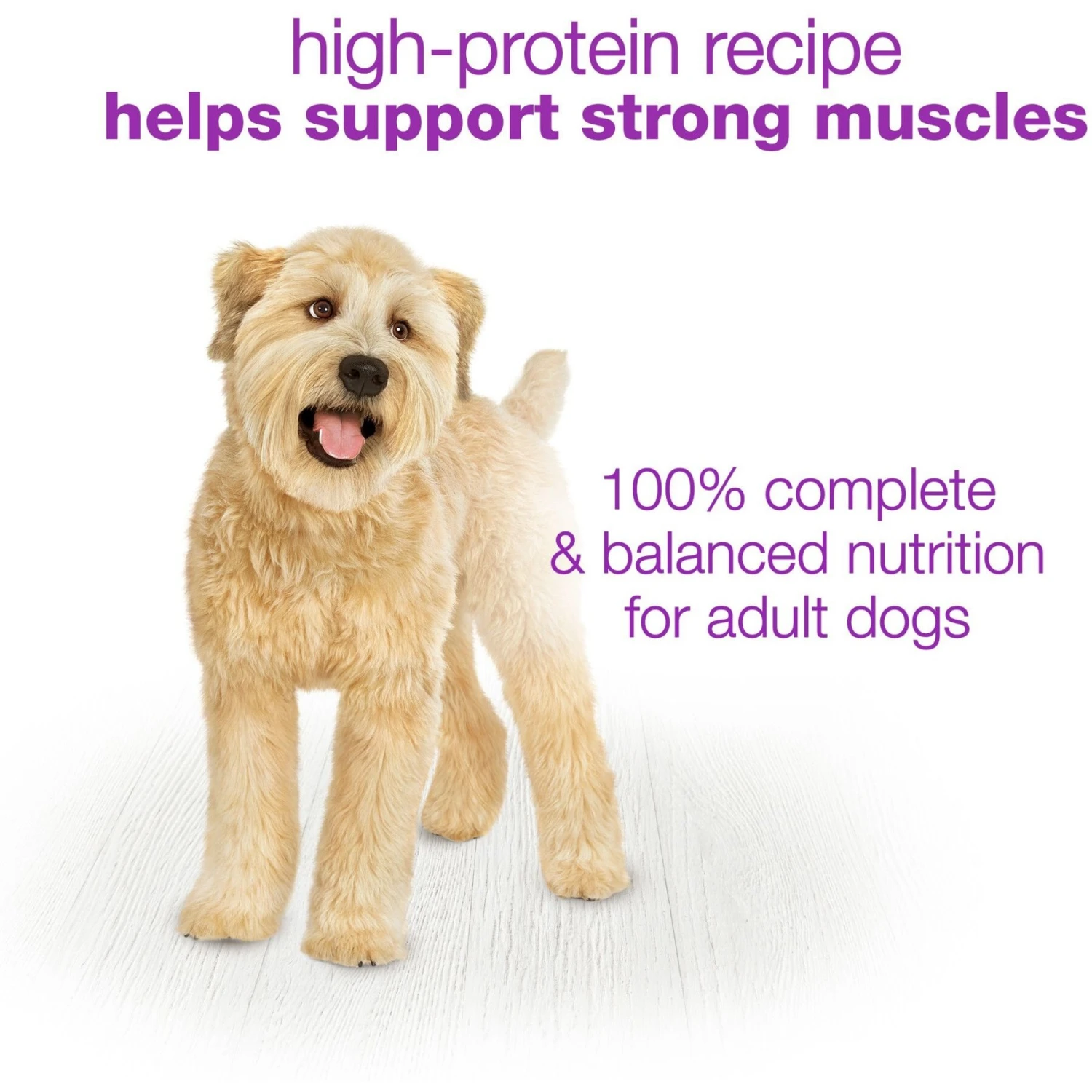 Purina Beneful Chopped Blends With Lamb, Brown Rice, Carrots &Tomatoes Wet Dog Food, 10-oz Container, Case Of 8 - Image 8