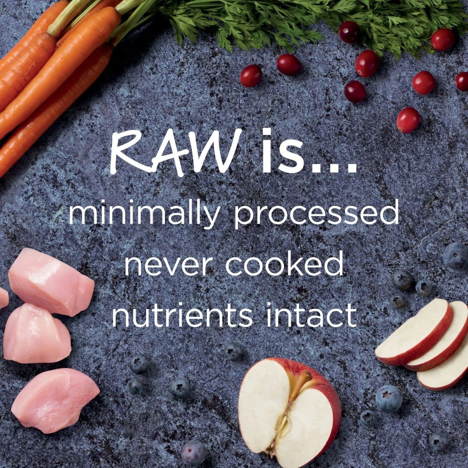 Instinct Raw Boost Puppy Grain-Free Recipe With Real Chicken & Freeze-Dried Raw Pieces Dry Dog Food - Image 4