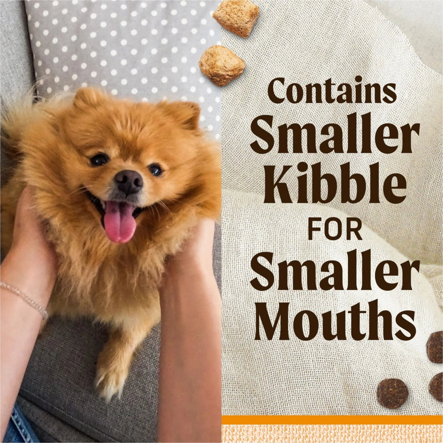 Merrick Lil' Plates Grain-Free Small Breed Dry Dog Food Real Chicken, Sweet Potatoes + Peas With Raw Bites Recipe - Image 4