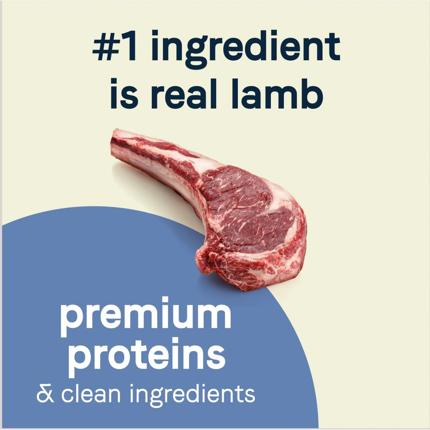 CANIDAE PURE Petite Adult Small Breed Grain-Free With Lamb Dry Dog Food - Image 4