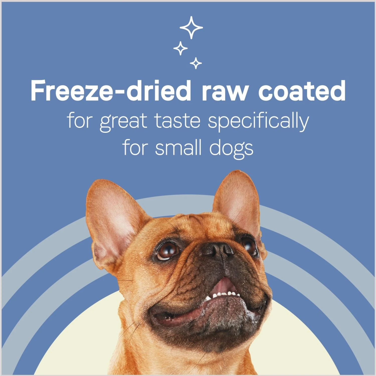 CANIDAE PURE Petite Adult Small Breed Grain-Free With Lamb Dry Dog Food - Image 7