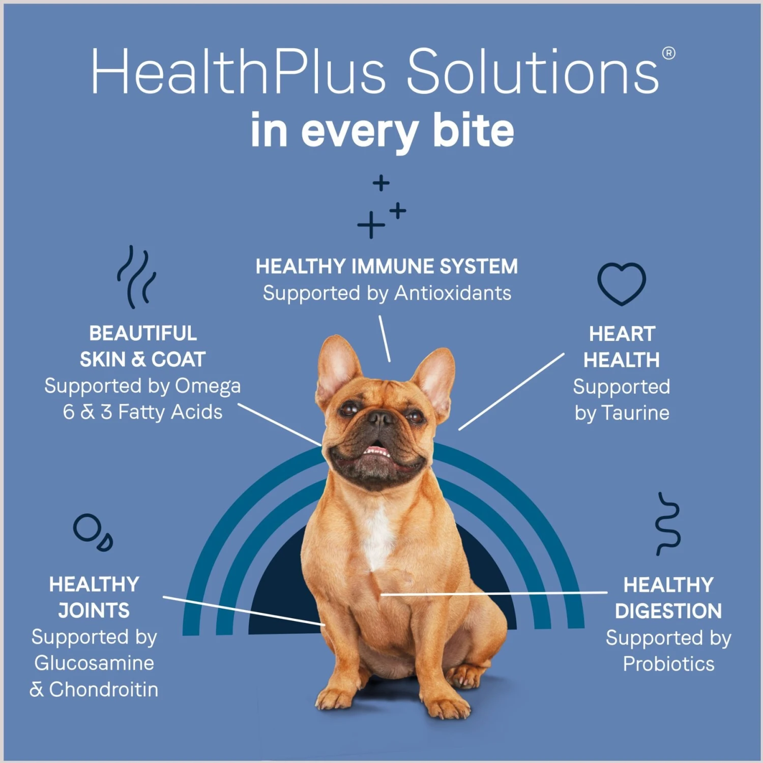 CANIDAE PURE Petite Adult Small Breed Grain-Free With Lamb Dry Dog Food - Image 8