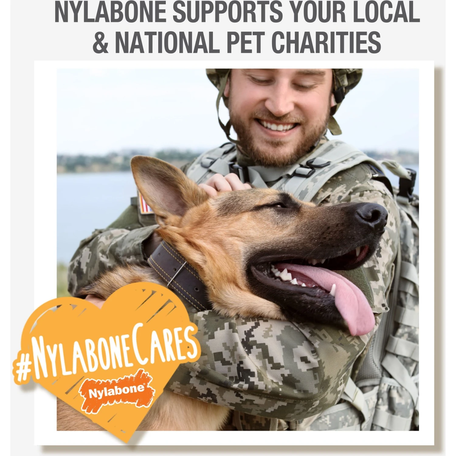 Nylabone Puppy Chew Spin Tug & Play Toy Peanut Butter Blue, Medium - Image 7