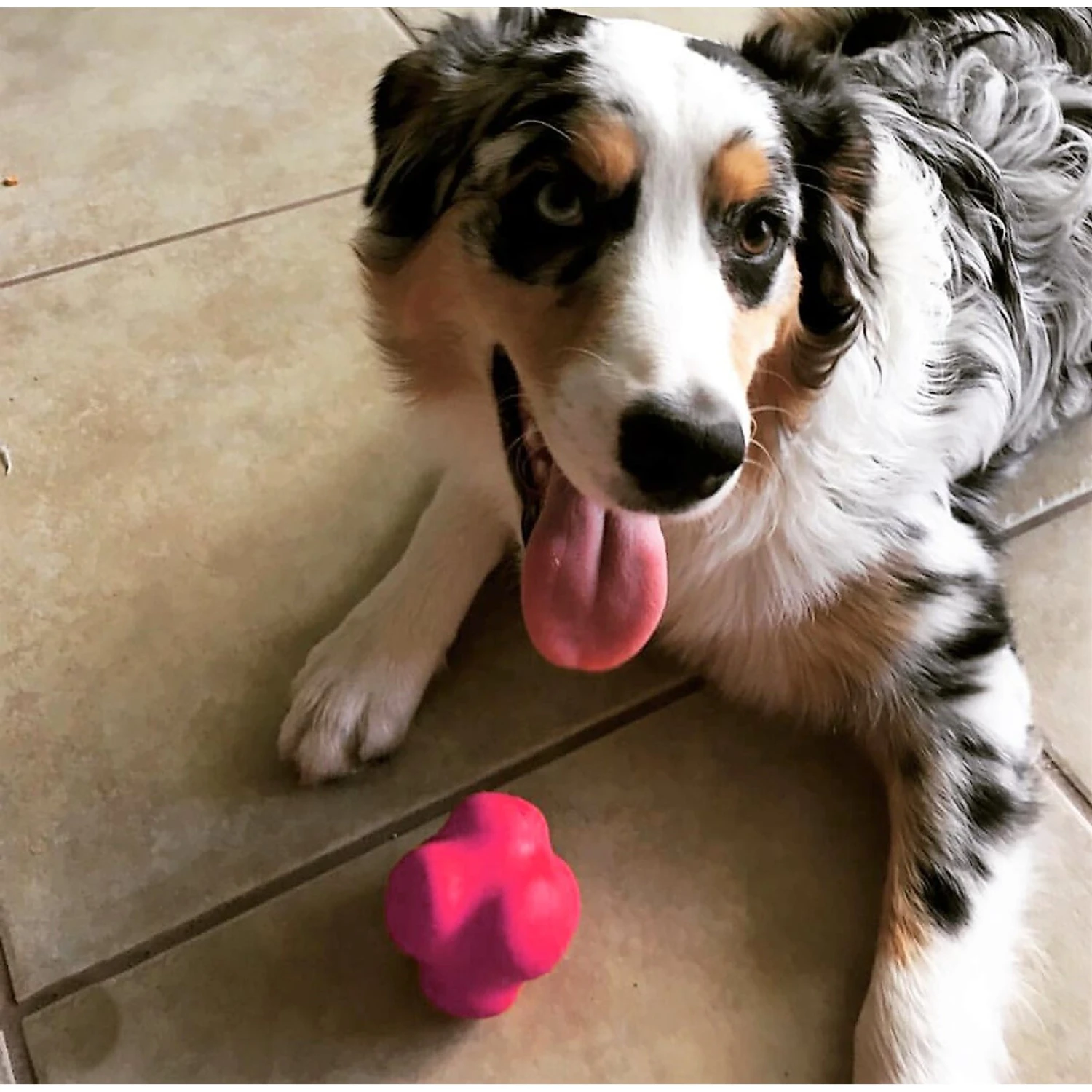 SodaPup Crazy Bounce Retrieving Tough Dog Chew Toy - Image 5