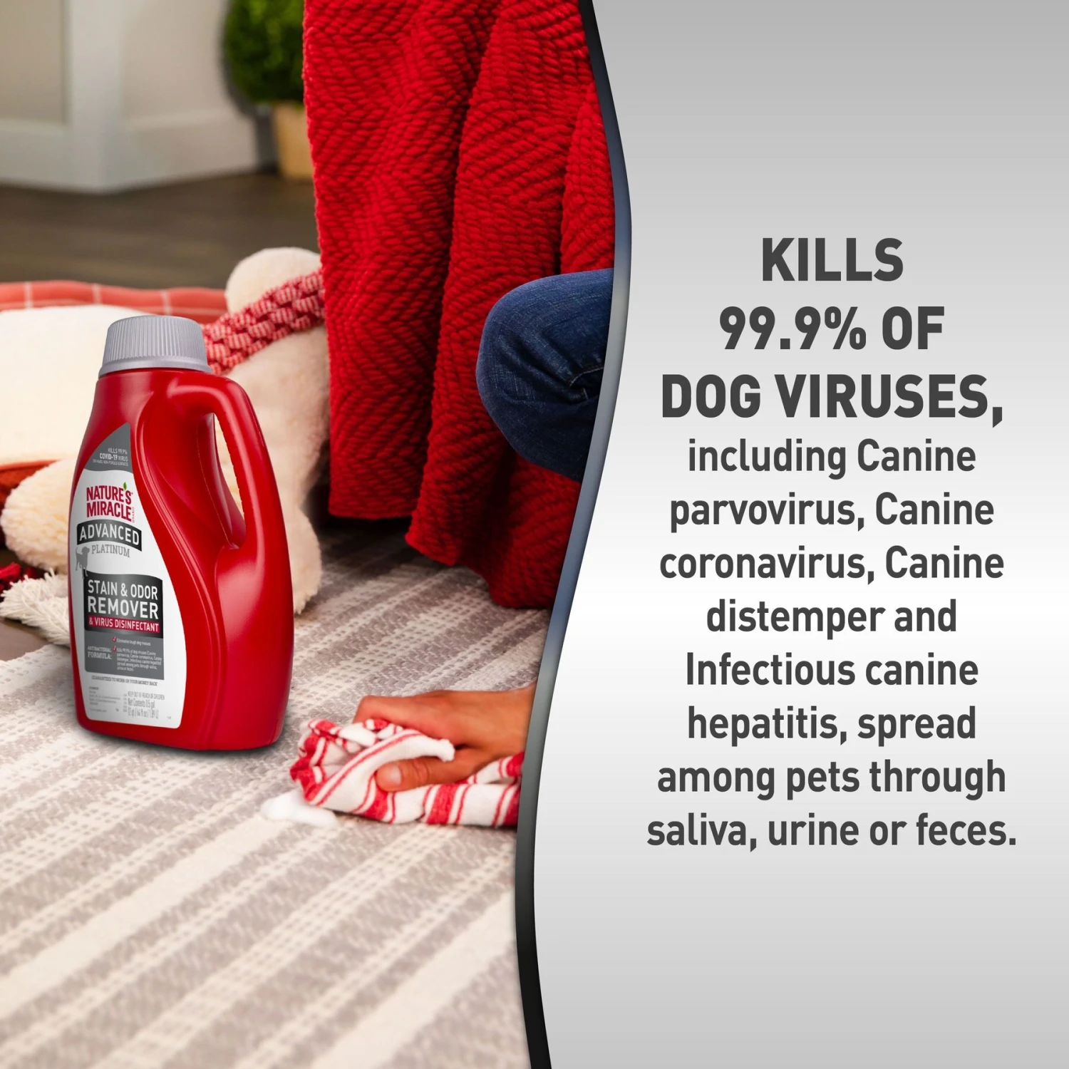 Nature's Miracle Advanced Platinum Dog Antibacterial Stain Remover & Odor Eliminator Refill, 64-oz Bottle - Image 3