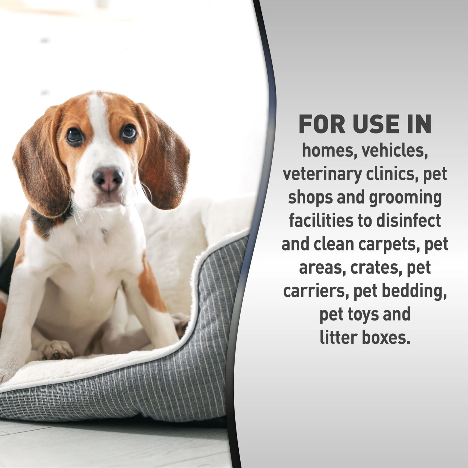 Nature's Miracle Advanced Platinum Dog Antibacterial Stain Remover & Odor Eliminator Refill, 64-oz Bottle - Image 7