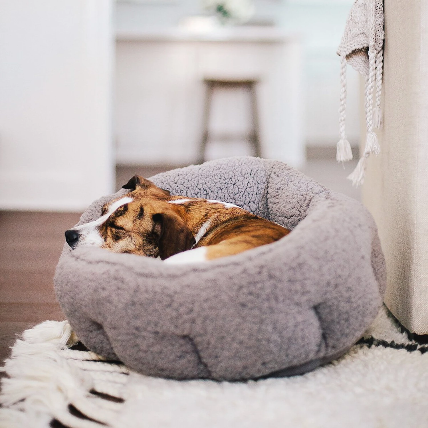 Best Friends By Sheri Sherpa Deep Dish Bolster Cat & Dog Bed W/Blanket & Plush Bone - Image 6