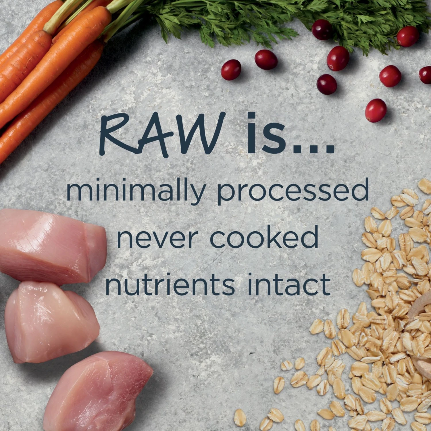 Instinct Raw Boost Puppy Whole Grain Real Chicken & Brown Rice Recipe Freeze-Dried Raw Coated Dry Dog Food - Image 4