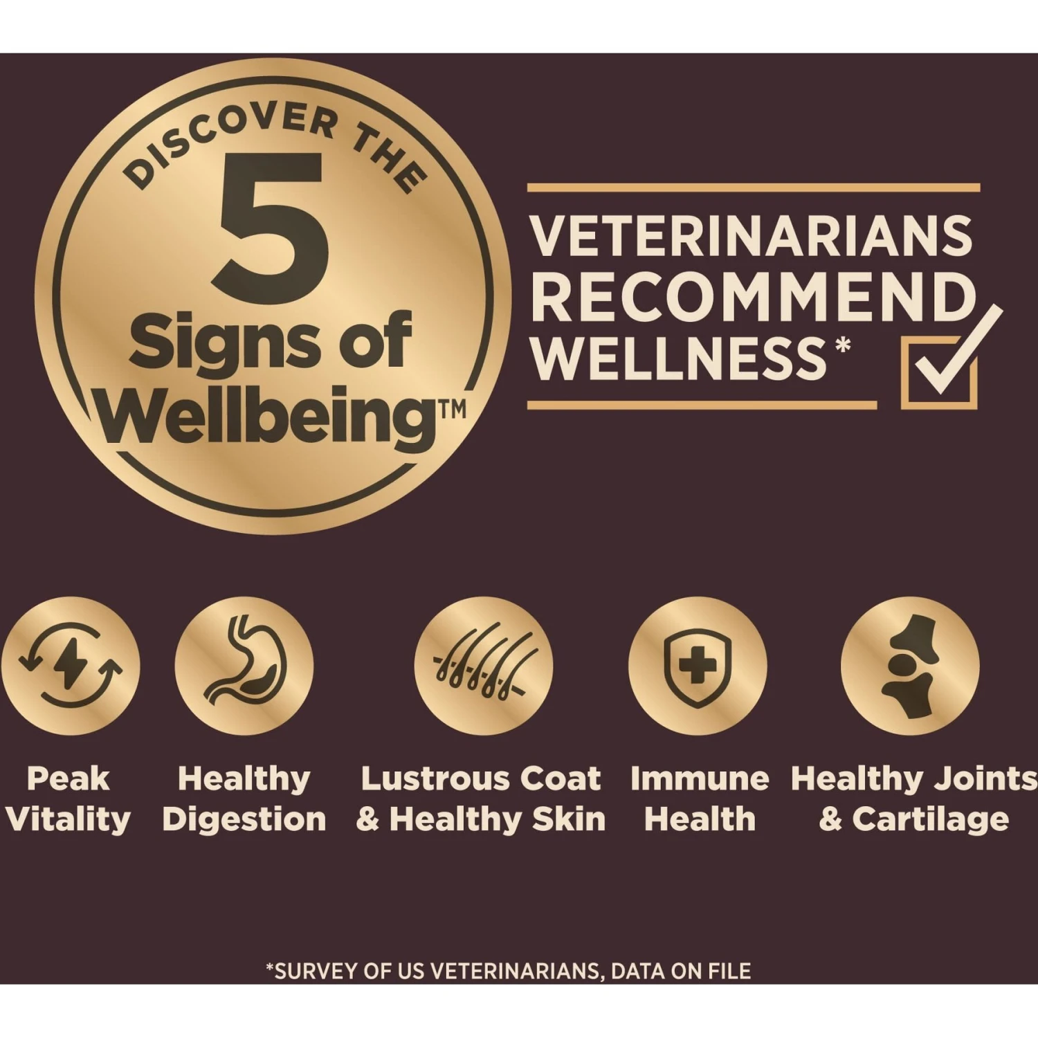 Wellness CORE RawRev Wholesome Grains Small Breed Original Recipe High Protein Dry Dog Food - Image 5