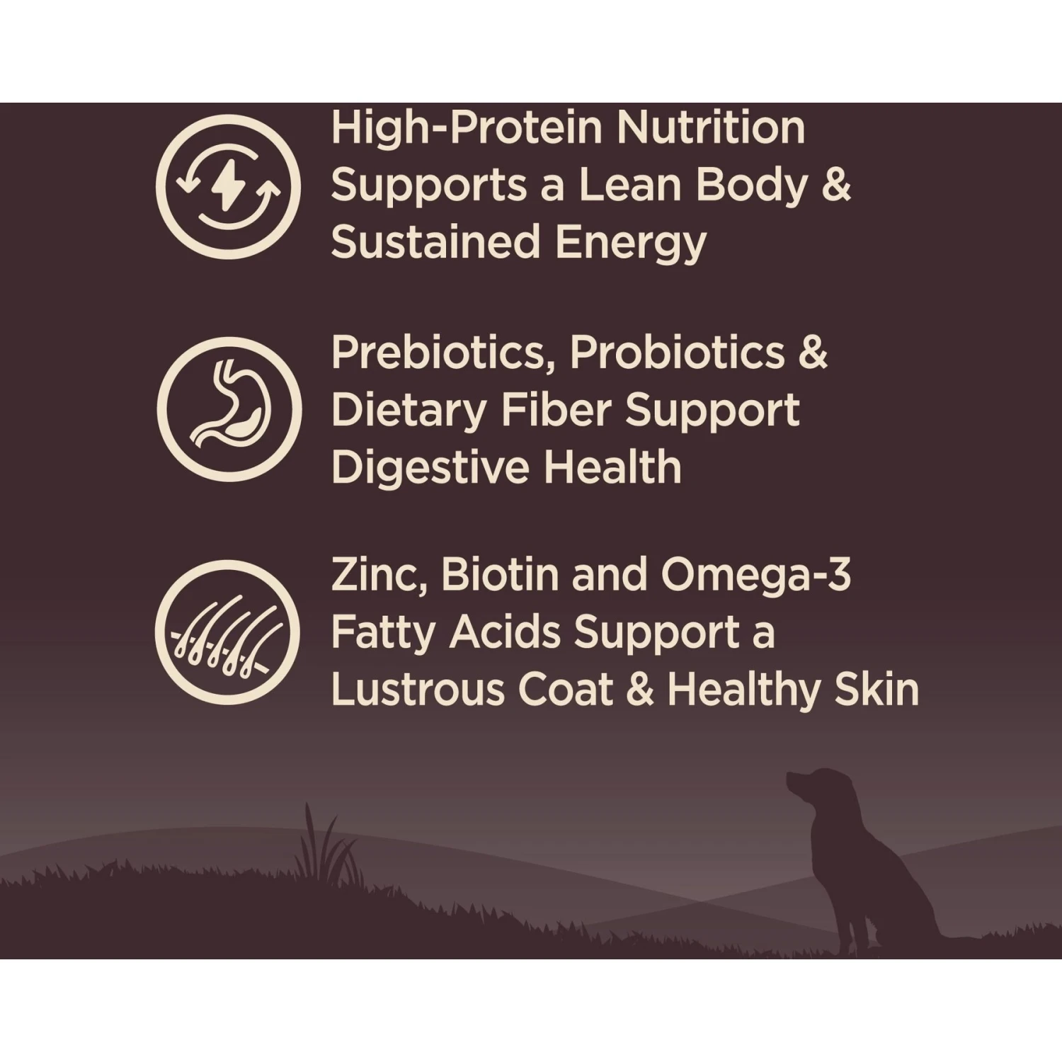 Wellness CORE Wholesome Grains Original Recipe High Protein Dry Dog Food - Image 3