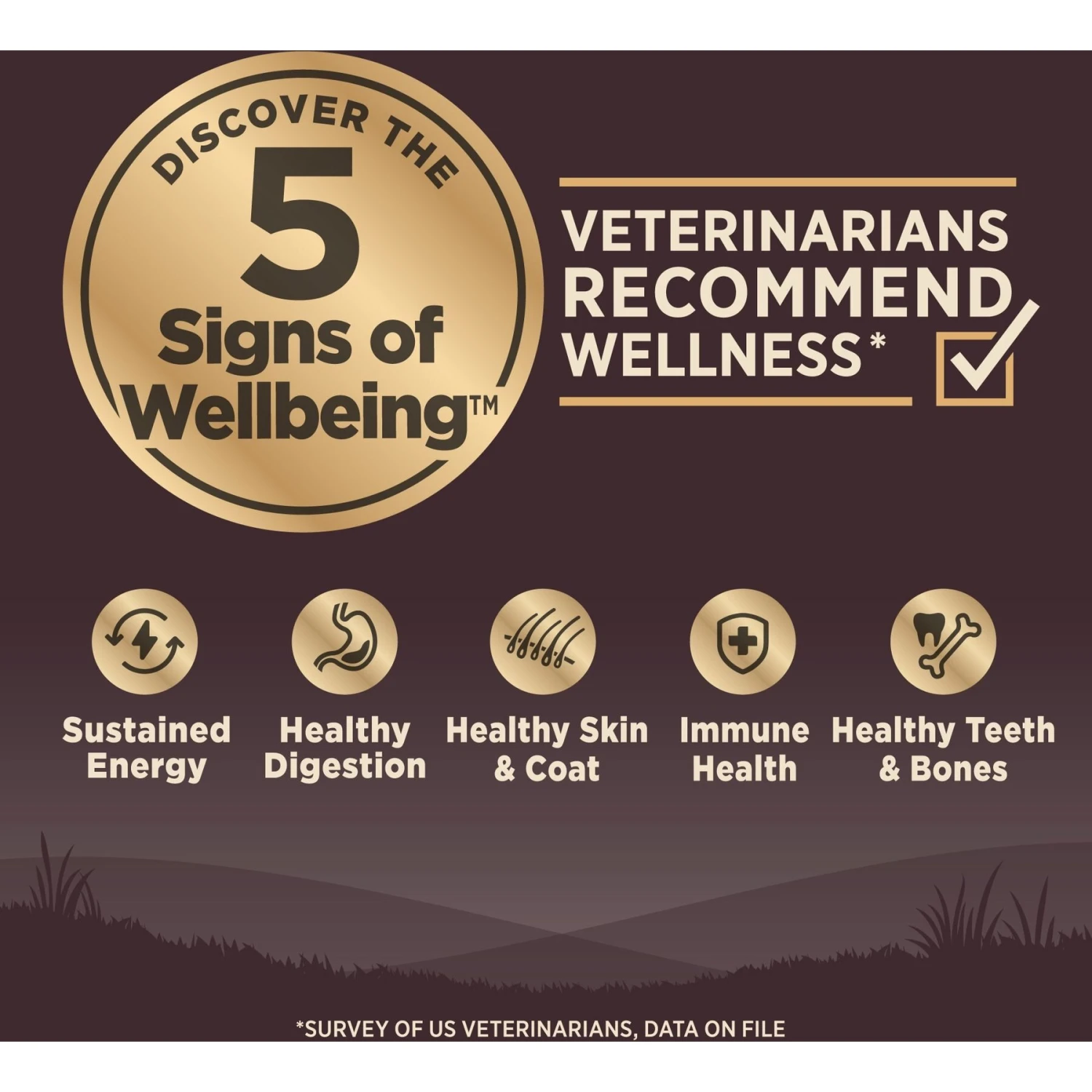 Wellness CORE Wholesome Grains Original Recipe High Protein Dry Dog Food - Image 4