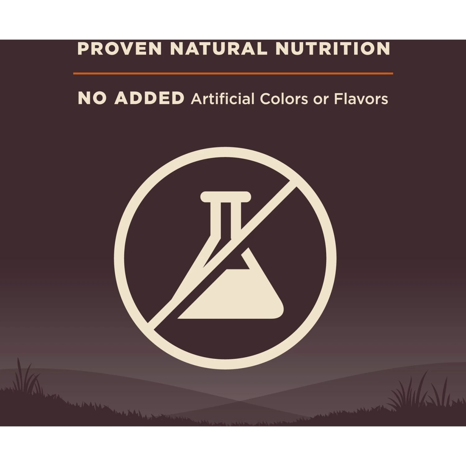 Wellness CORE Wholesome Grains Original Recipe High Protein Dry Dog Food - Image 6