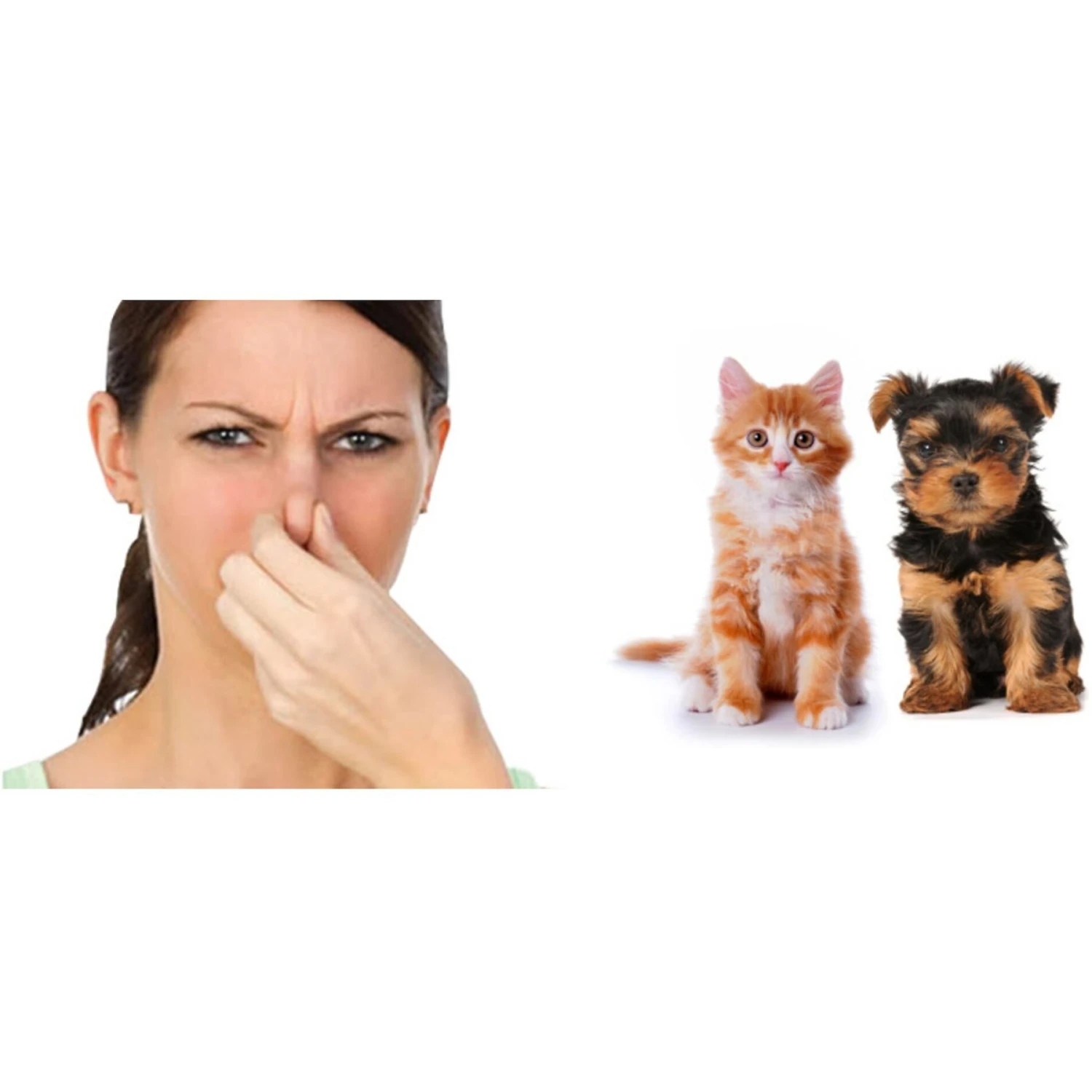 CI02 Liquid Shocker Hard Surface Odor Eliminator - Image 2