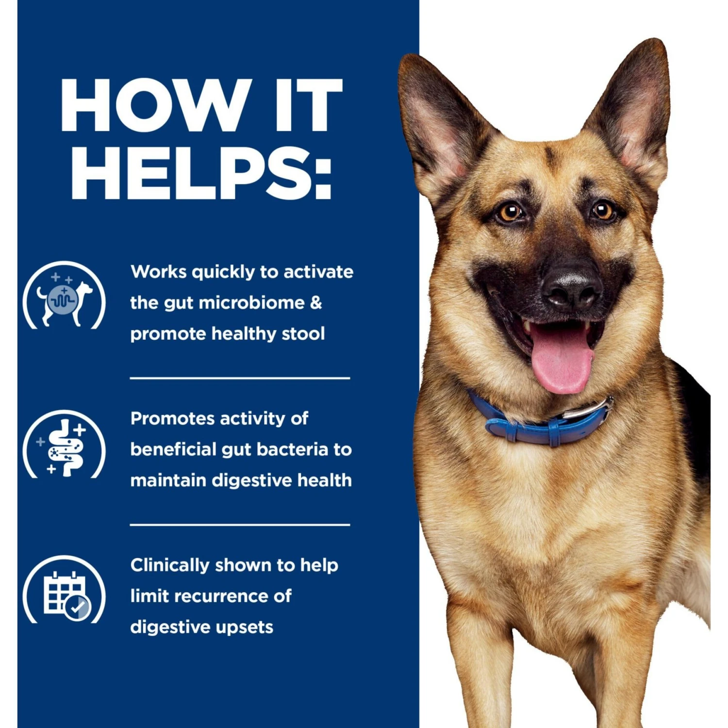 Hill's Prescription Diet Gastrointestinal Biome Chicken & Vegetable Stew Wet Dog Food - Image 5