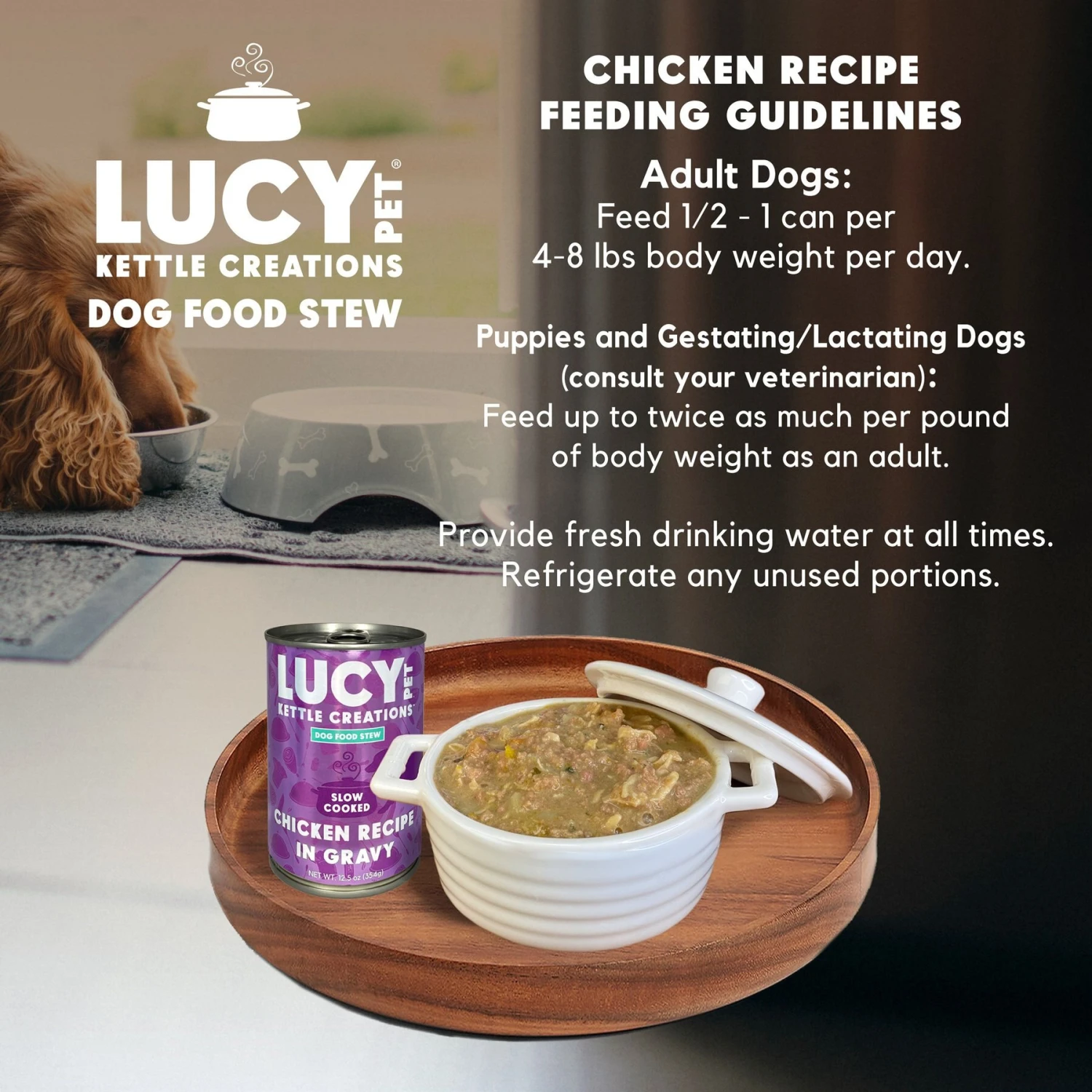 Lucy Pet Products Kettle Creations Chicken Recipe In Gravy Wet Dog Food, 12.5-oz Can, Case Of 12 - Image 6
