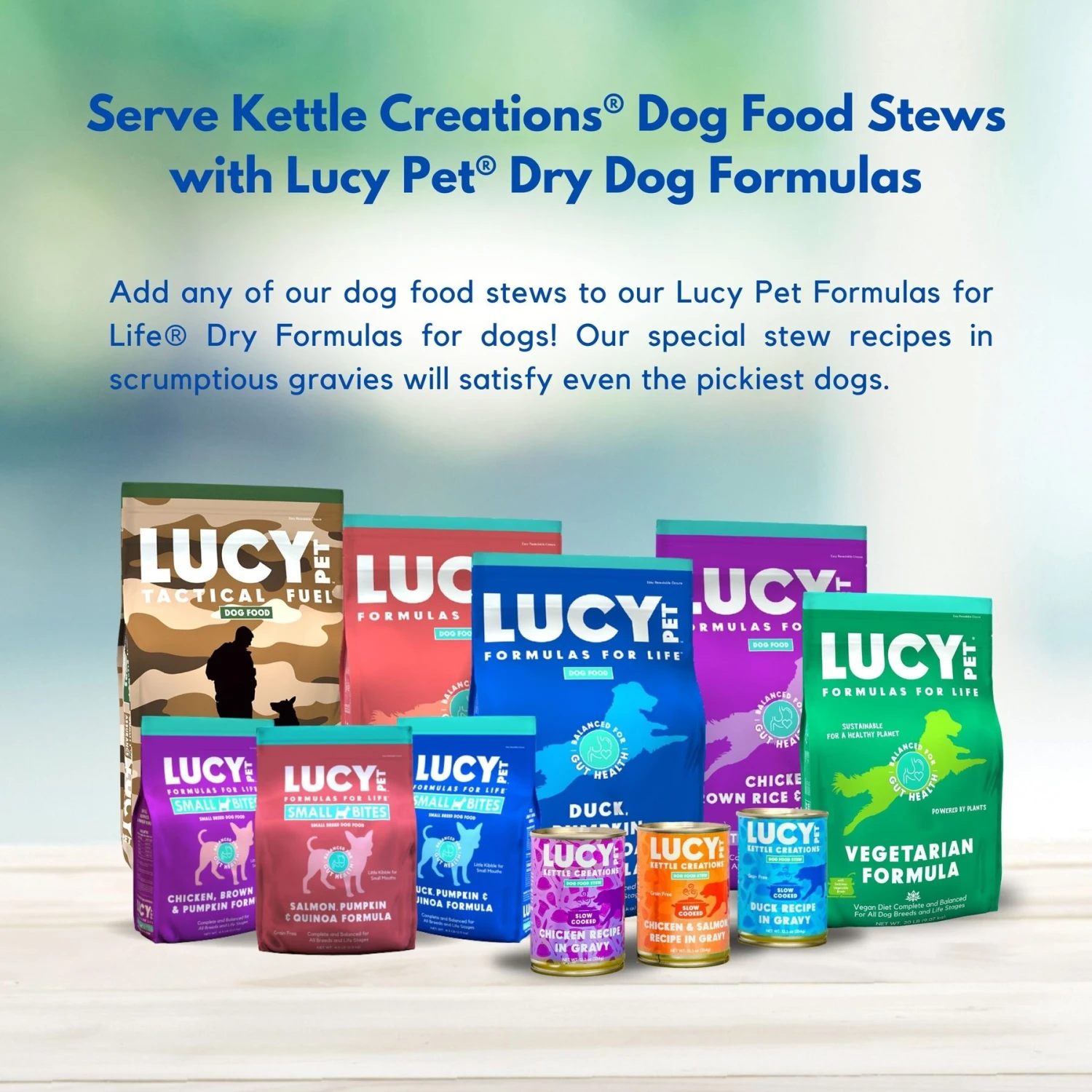 Lucy Pet Products Kettle Creations Chicken Recipe In Gravy Wet Dog Food, 12.5-oz Can, Case Of 12 - Image 7