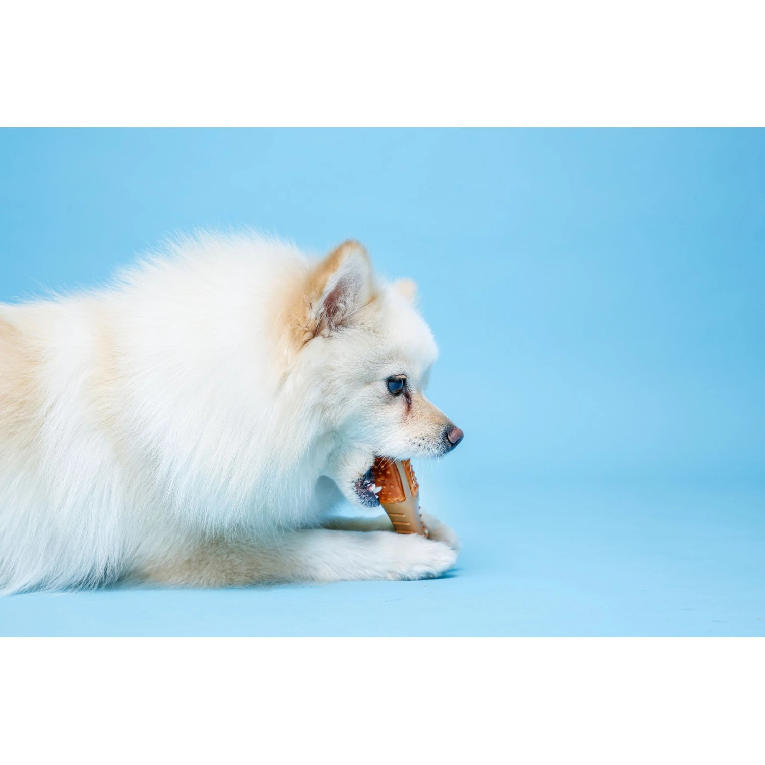 Hartz Chew 'n Clean Chicken Flavored Drumstick Dog Treat & Chew Toy - Image 4