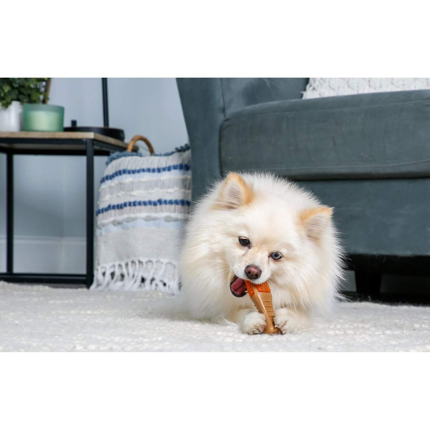 Hartz Chew 'n Clean Chicken Flavored Drumstick Dog Treat & Chew Toy - Image 6
