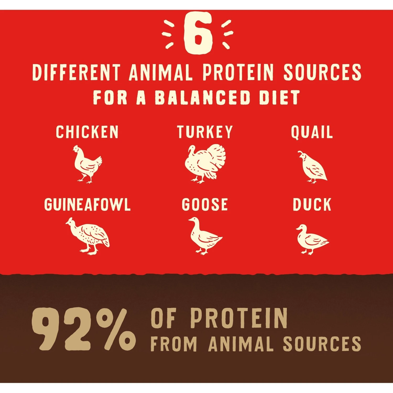 Stella & Chewy's Wild Red Raw Coated Kibble Puppy Grain-Free Prairie Recipe Dry Dog Food - Image 6