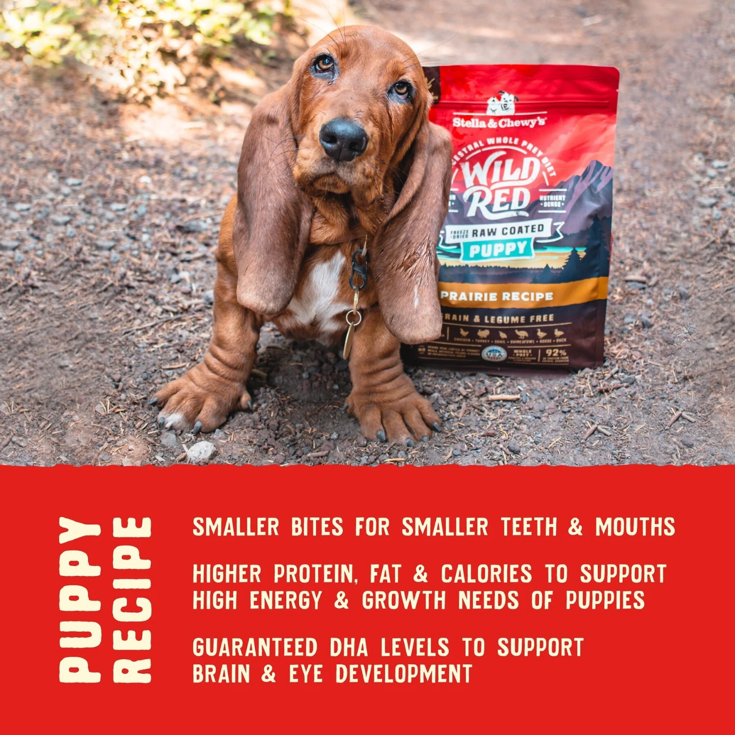 Stella & Chewy's Wild Red Raw Coated Kibble Puppy Grain-Free Prairie Recipe Dry Dog Food - Image 7