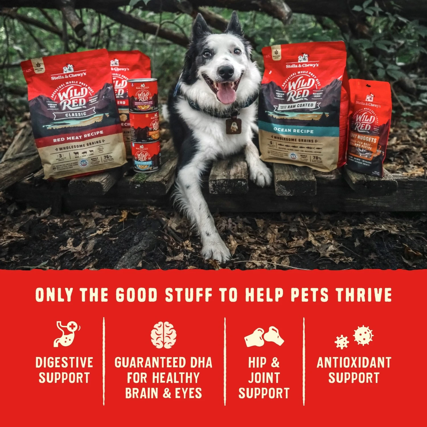 Stella & Chewy's Wild Red Raw Coated Kibble Puppy Grain-Free Prairie Recipe Dry Dog Food - Image 9
