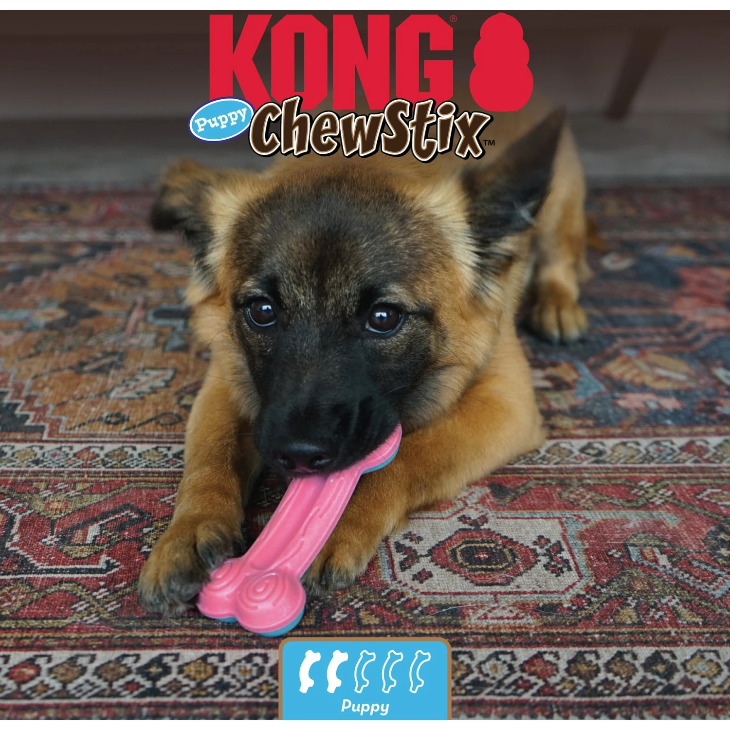 KONG ChewStix Puppy Curve Bone, Pink/Blue - Image 5