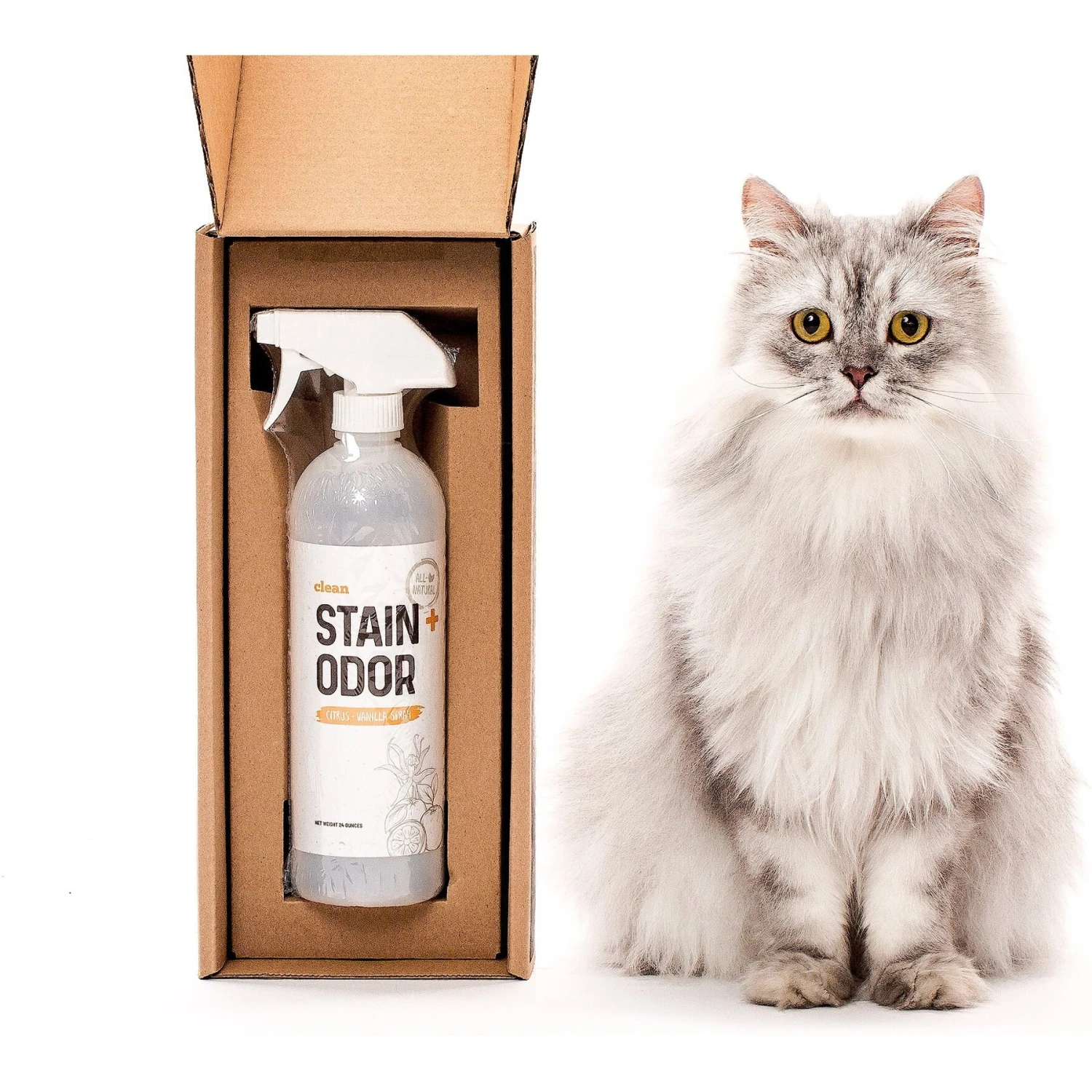 Litterbox.com Stain + Odor Citrus Vanilla Spray, 24-oz Bottle - Image 3