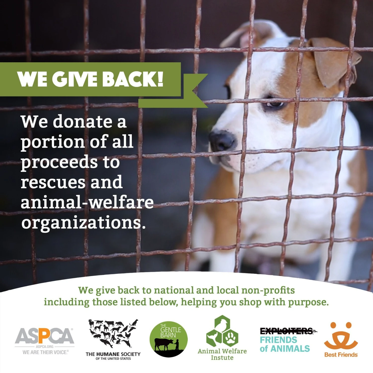 Doggy Do Good Certified Home Compostable X-Large Premium Dog & Cat Waste Bags - Handle Bags On A Roll - Image 7