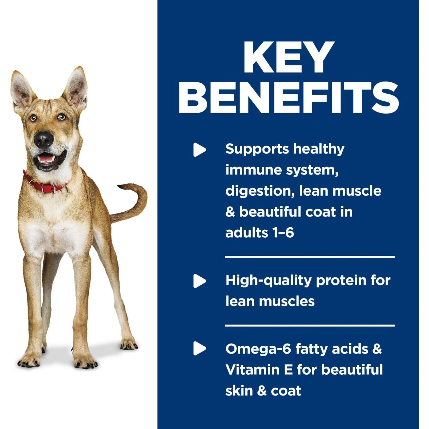 Hill's Science Diet Adult Chicken & Barley Entree Canned Dog Food - Image 6