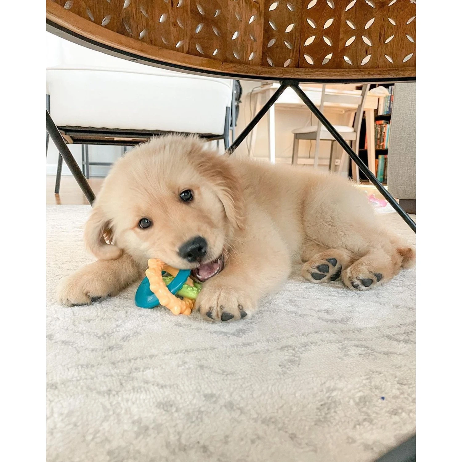 Nylabone Puppy Power Chew Teething Toy Rings Dogs Bacon Yellow - Image 2