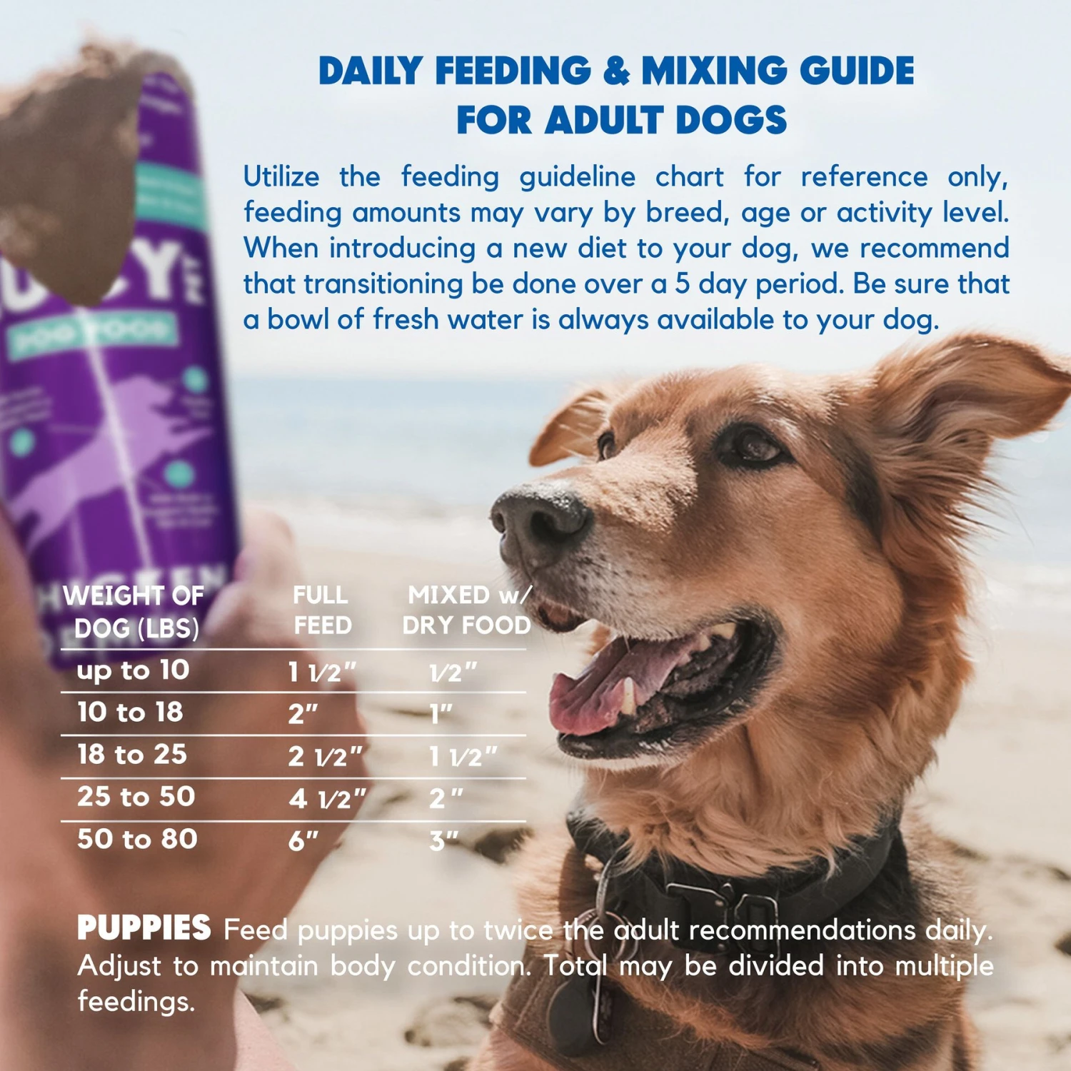 Lucy Pet Products Chicken Formula Dog Wet Food - Image 6