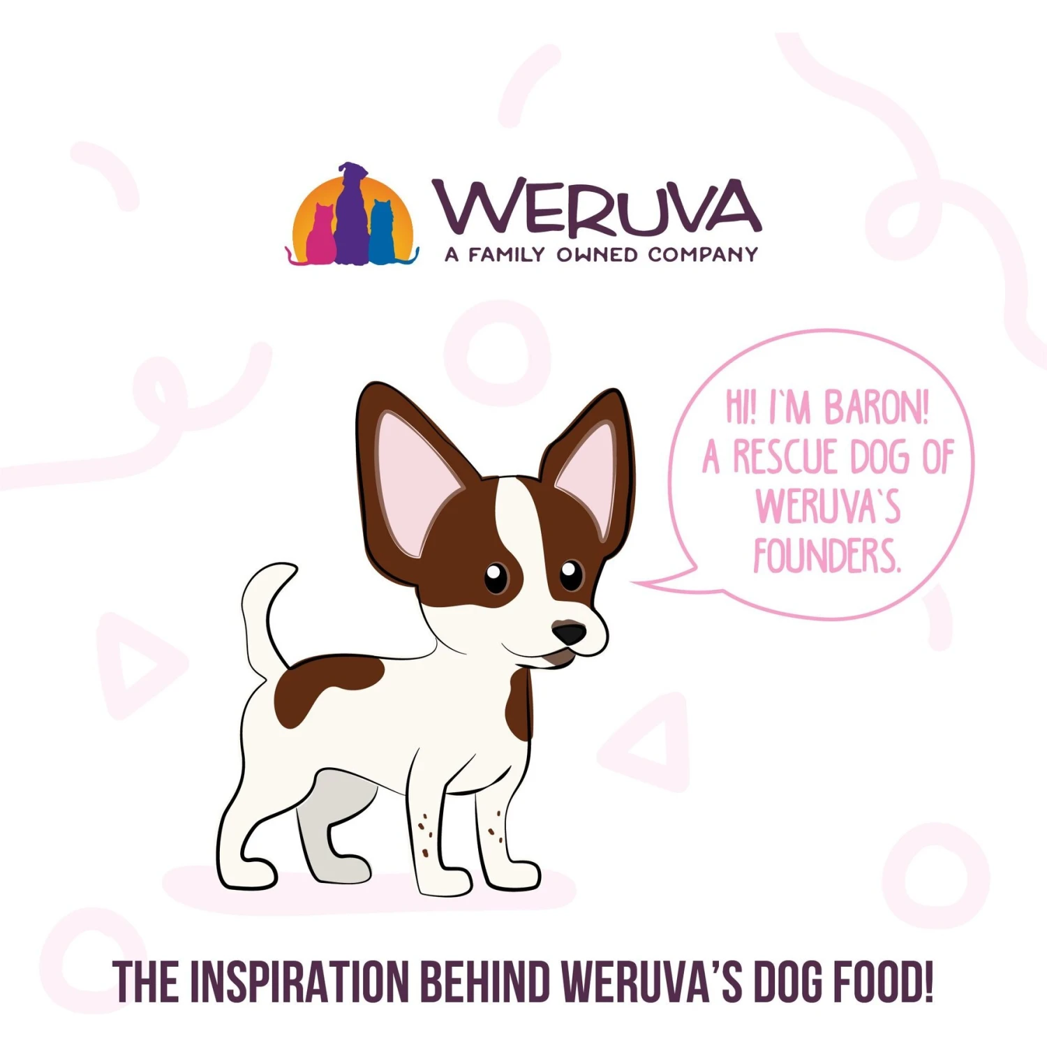Weruva Meals 'n More Natural Wet Dog Food, Bed & Breakfast Plus Digestive Support, 3.5-oz Cup, 12 Count - Image 8