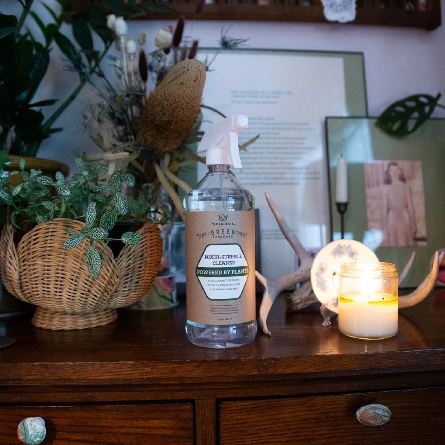 TriNova Natural Multi-Surface Dog, Cat & Small Pet Cleaner, 32-oz Bottle, 2 Count - Image 6