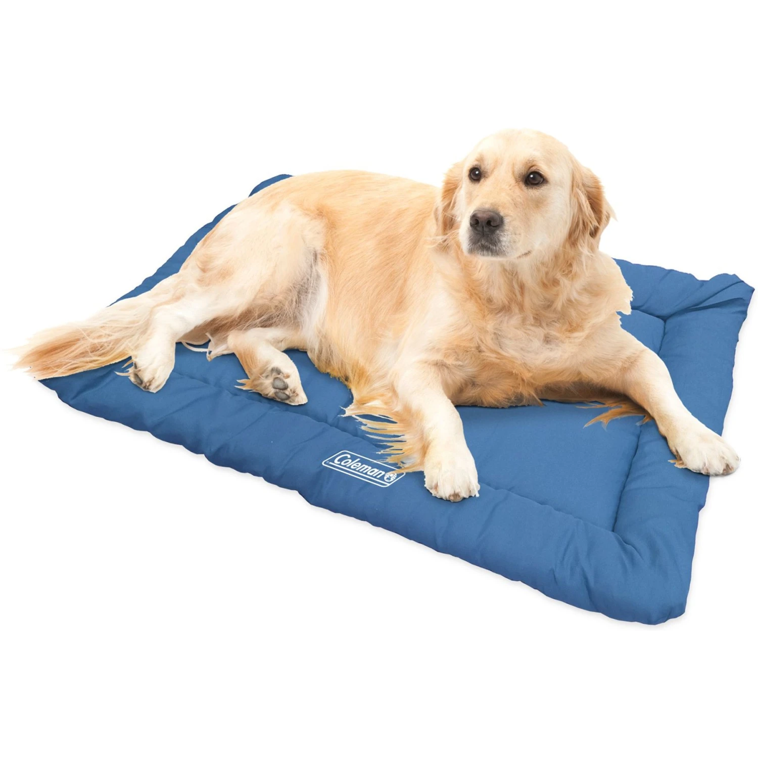 Coleman Roll-Up Travel Dog Bed - Image 2