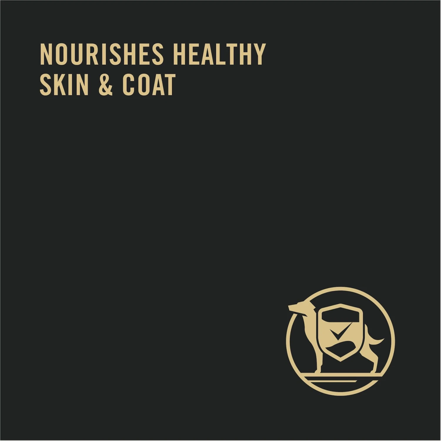 Purina Pro Plan Adult Seared Chicken, Julienne Carrots & Barley Entree In Gravy Canned Dog Food - Image 6