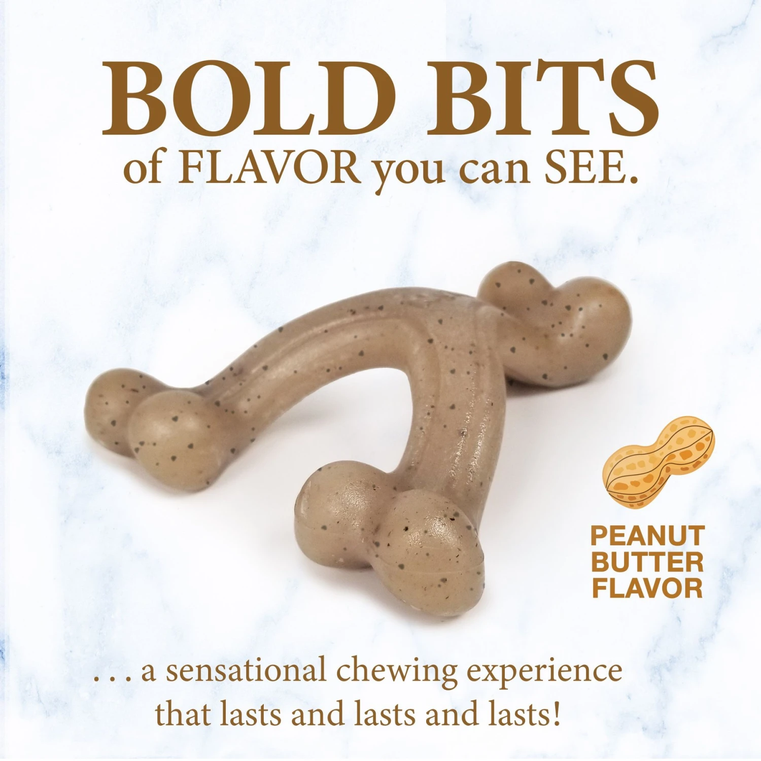 Nylabone Puppy Gourmet Style Strong Chew Wishbone Peanut Butter Dog Toy, Brown, Small/Regular - Image 3