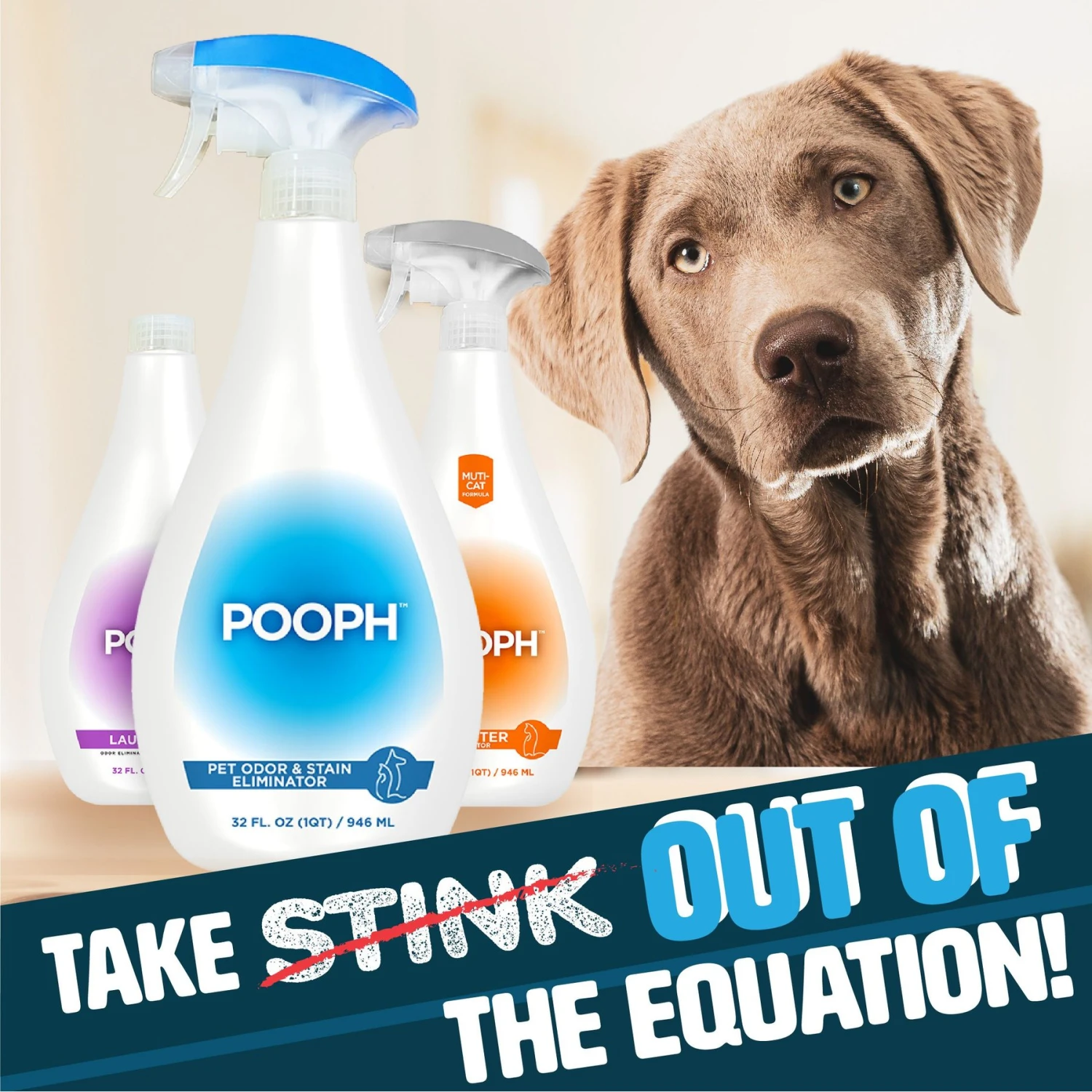 POOPH Cat & Dog Odor & Stain Eliminator - Image 5