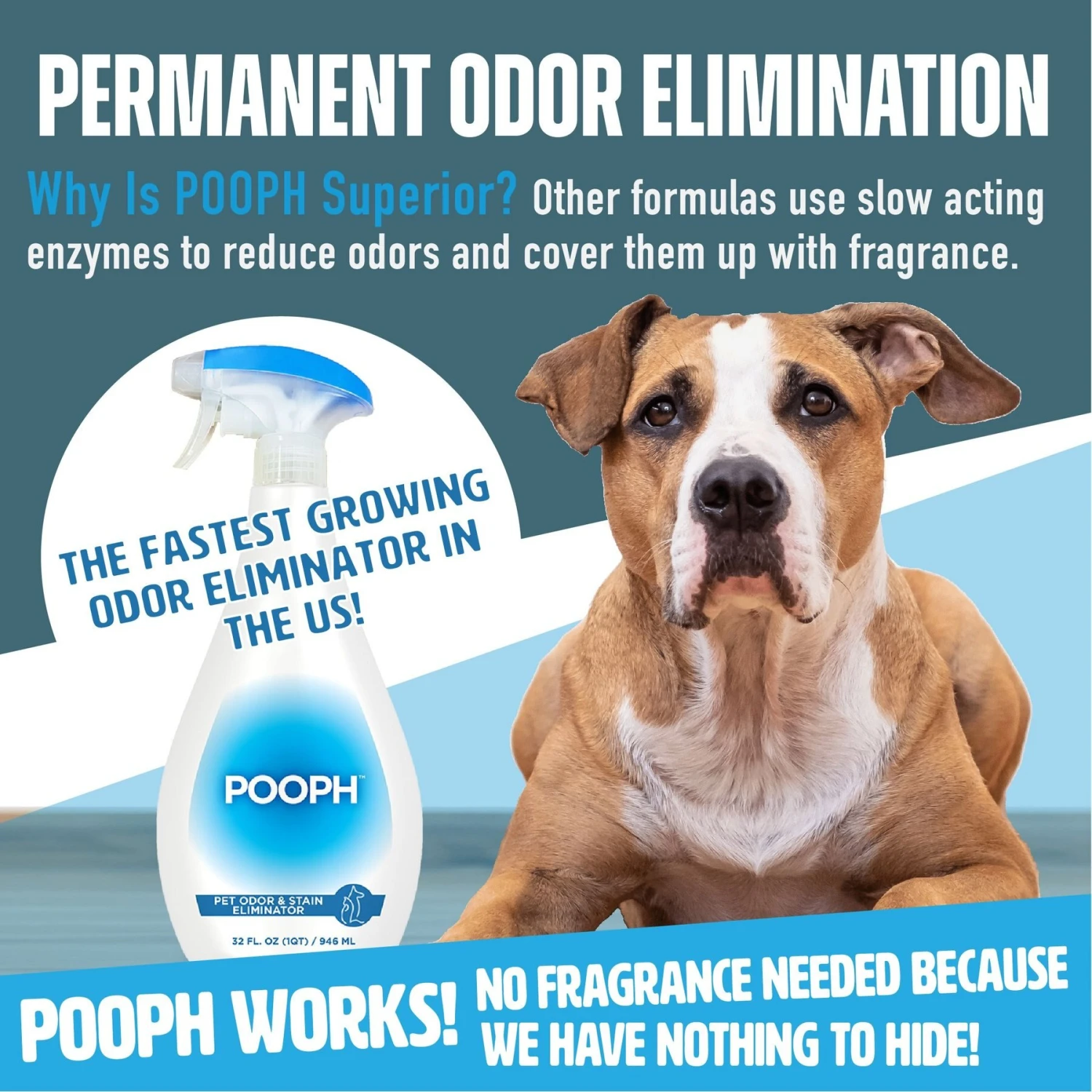 POOPH Cat & Dog Odor & Stain Eliminator - Image 7