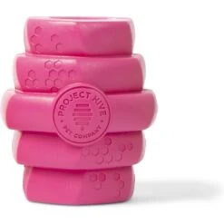 Project Hive Pet Company Hive Wild Berry Aroma Scented Chew Dog Toy, Large, Pink