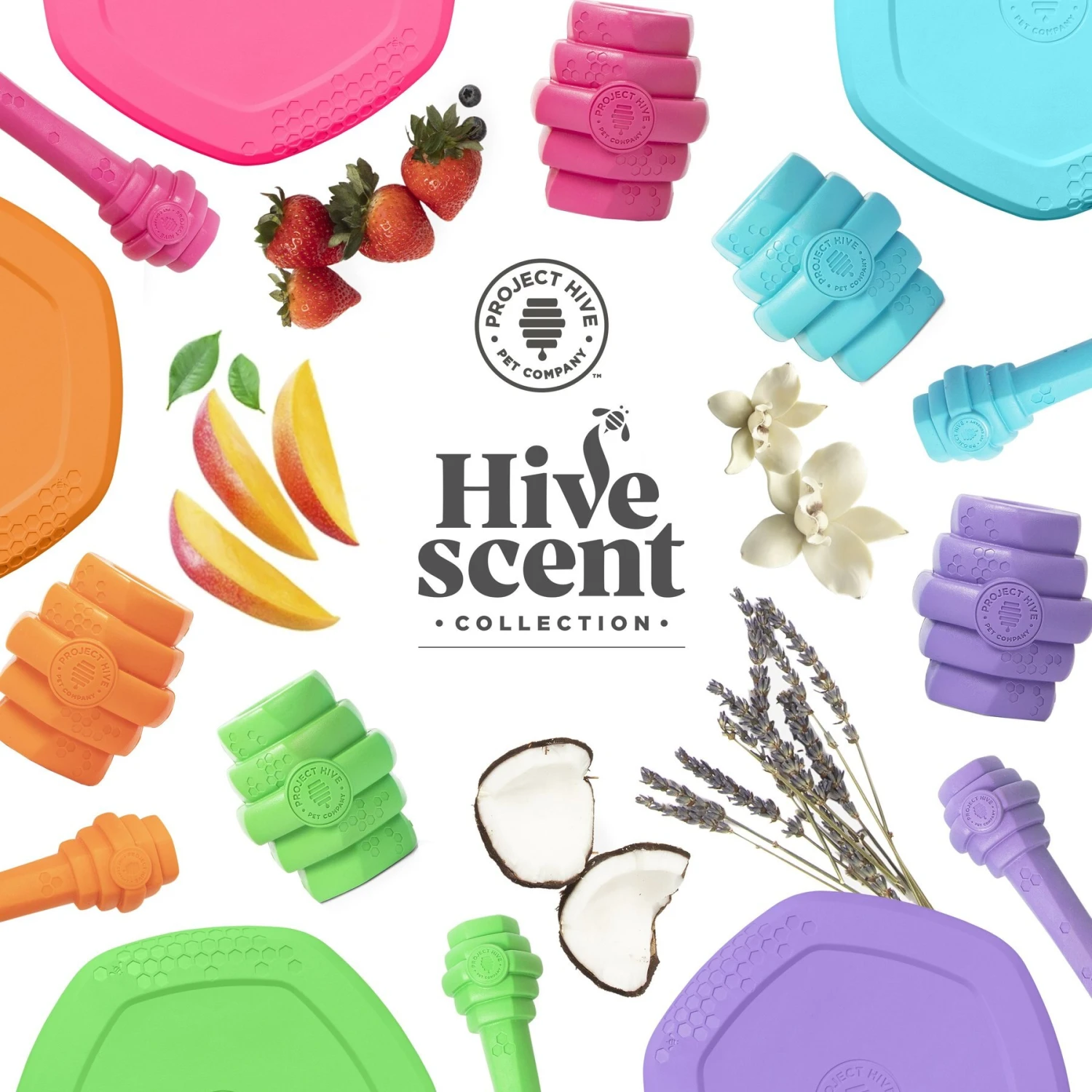 Project Hive Pet Company Hive Wild Berry Aroma Scented Chew Dog Toy, Large, Pink - Image 4