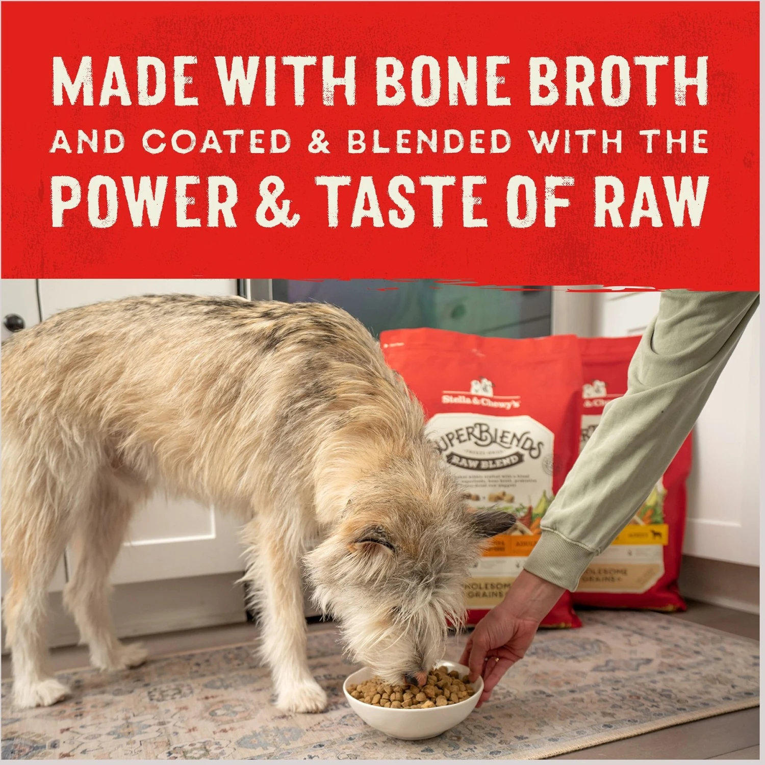 Stella & Chewy's SuperBlends Raw Blend Wholesome Grains Wild-Caught Whitefish & Salmon Recipe With Superfoods Dry Dog Food - Image 8