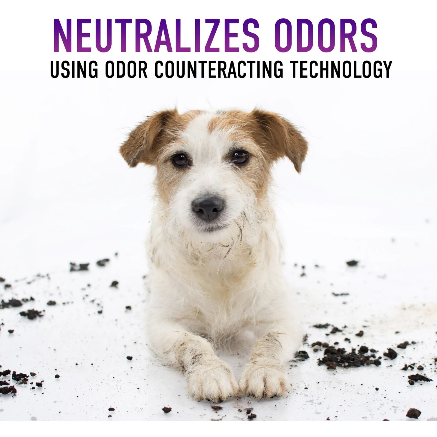 Hoover Paws & Claws Clean Packs Dog & Cat Cleaners & Stain Remover, Purple, 10 Count - Image 4