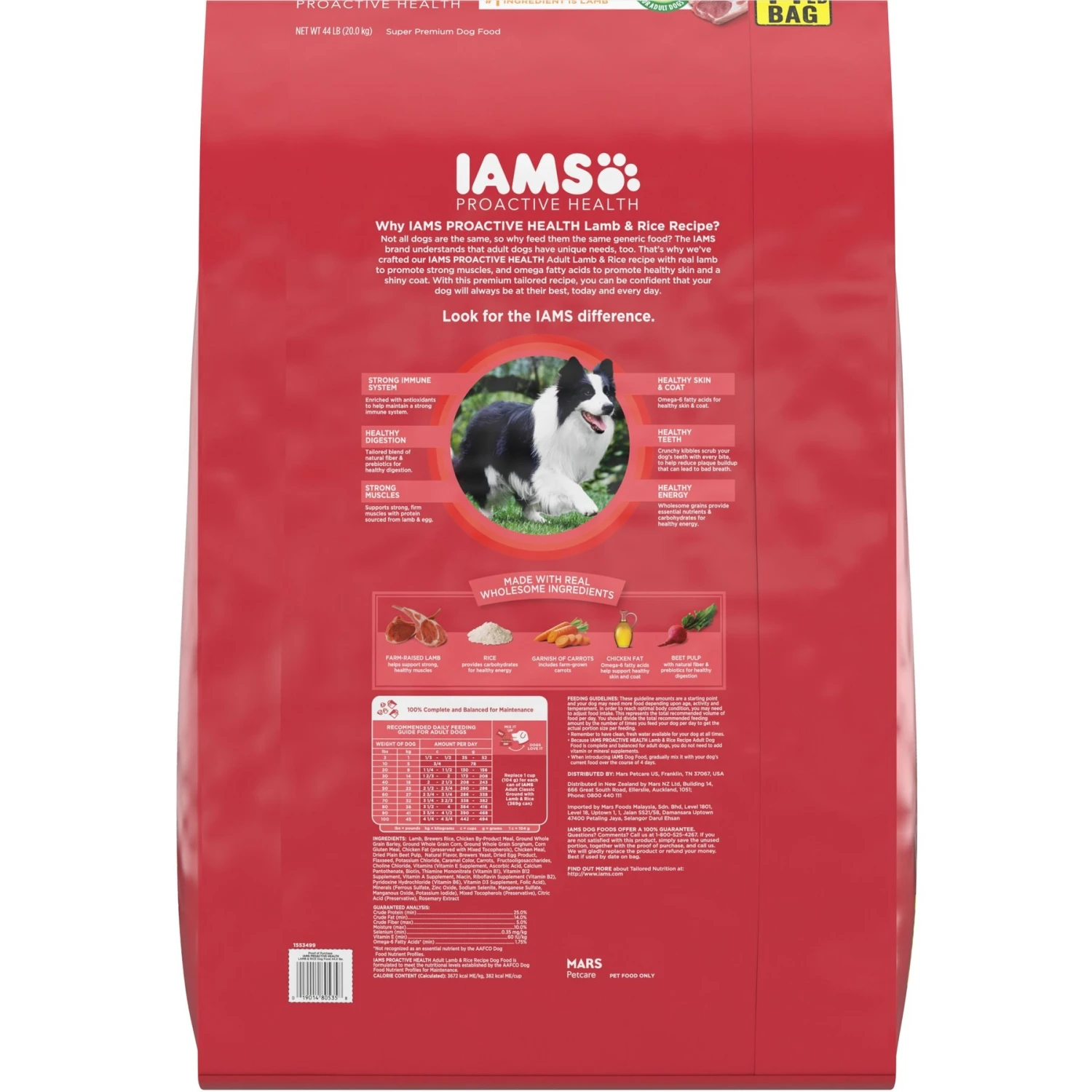 Iams Proactive Health Minichunks Small Kibble With Lamb & Rice Adult Dry Dog Food & Cesar Classic Loaf In Sauce Beef Recipe, Filet Mignon, Grilled Chicken & Porterhouse Steak Flavors Variety Pack Grain-Free Small Breed Adult Wet Dog Food Trays - Image 3