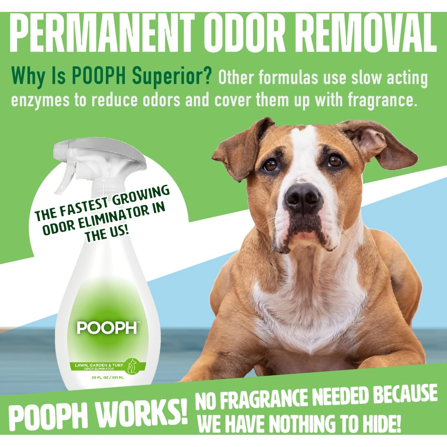 POOPH Lawn, Garden & Turf Cat & Dog Odor & Stain Eliminator - Image 8