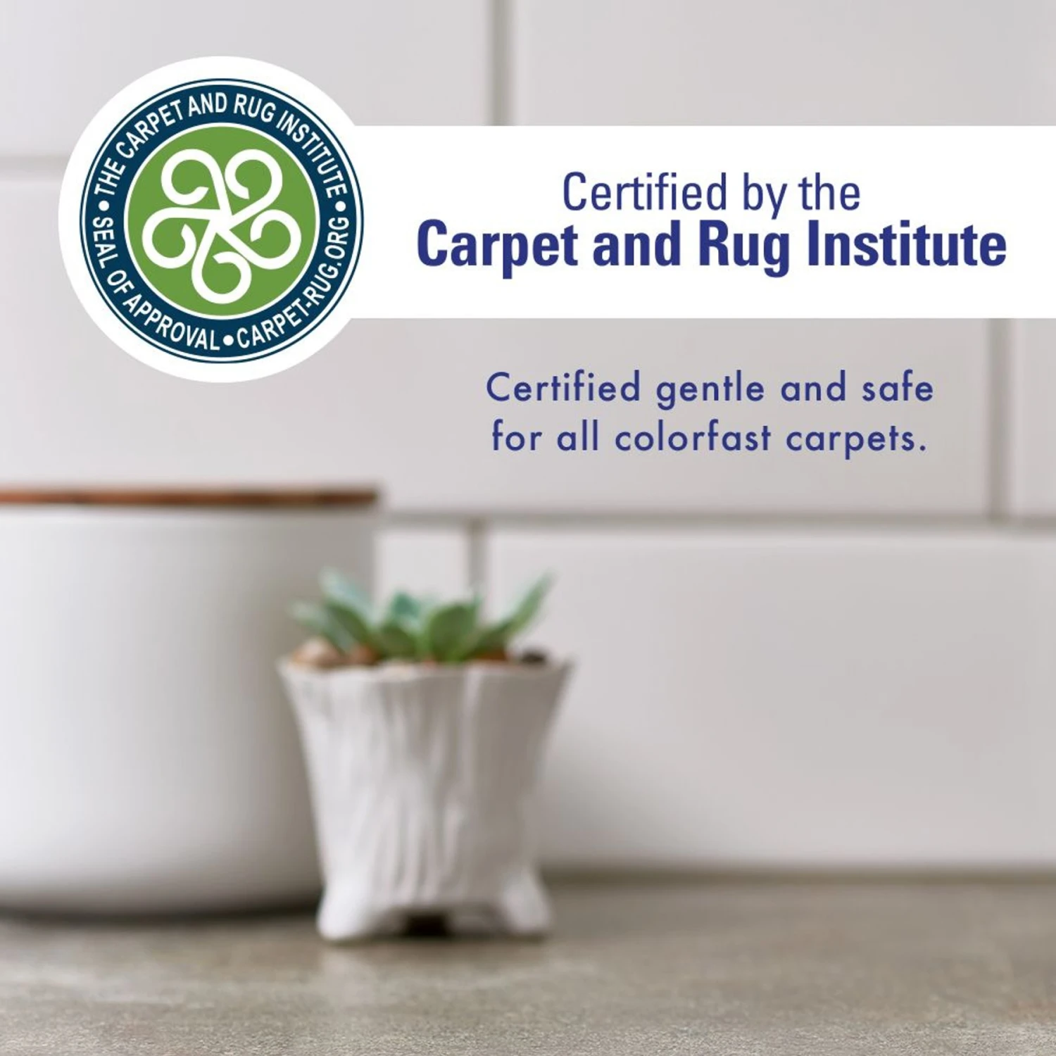 Rocco & Roxie Supply Co. Professional Strength Pet Stain & Odor Eliminator - Image 7